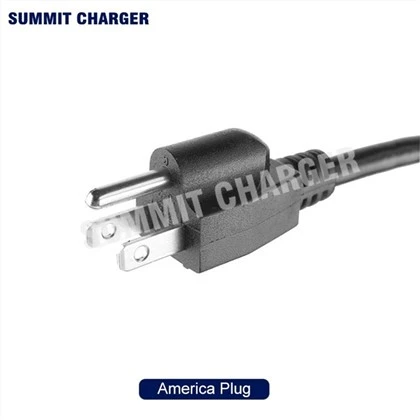 Input Plug of Summit Charger